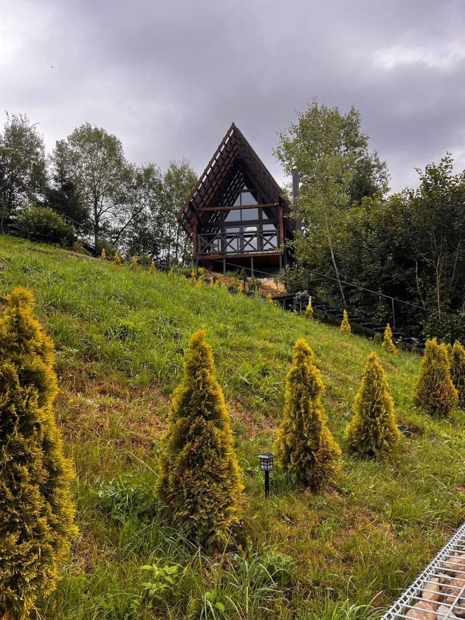 Valley Hills-Котедж На Схилах Гір З Чаном-Джакузі Slavske Ngoại thất bức ảnh